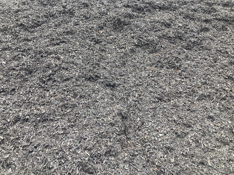 Forest black mulch img 2371