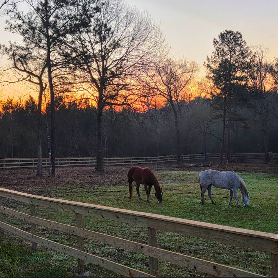 3 rail corral fence