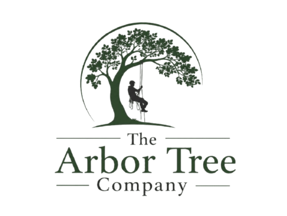 The Arbor Tree Company