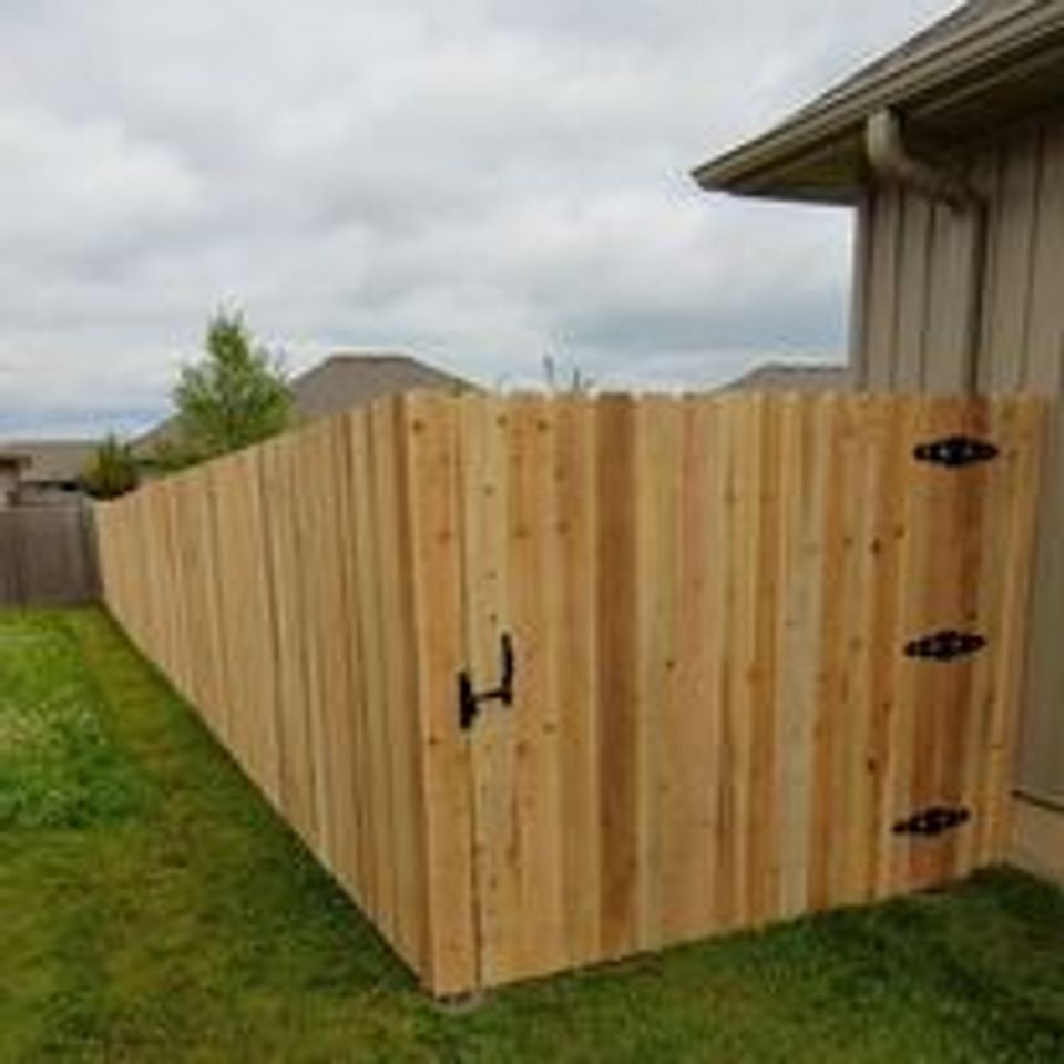 treated cedar privacy gate