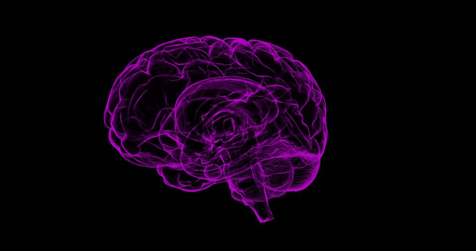 Brain gaf15555f1 1920