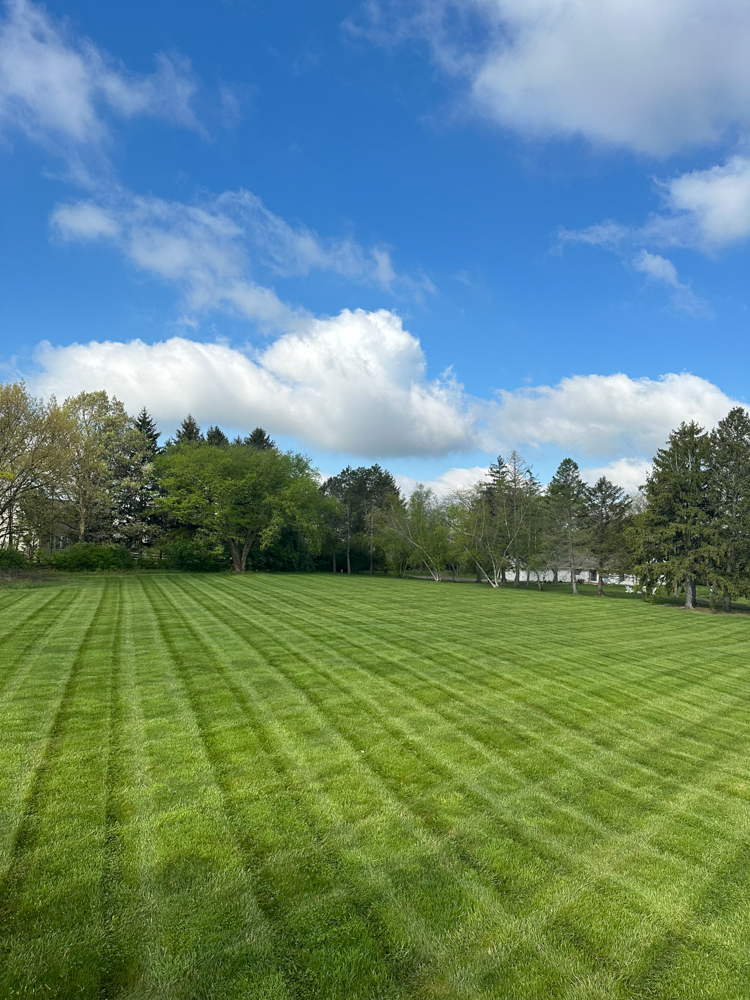 Morning byrds maineville morrow landscaping 25