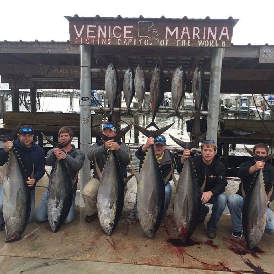 Another great corporate charter with six men holding up their catches in front of the Venice Marina sign.