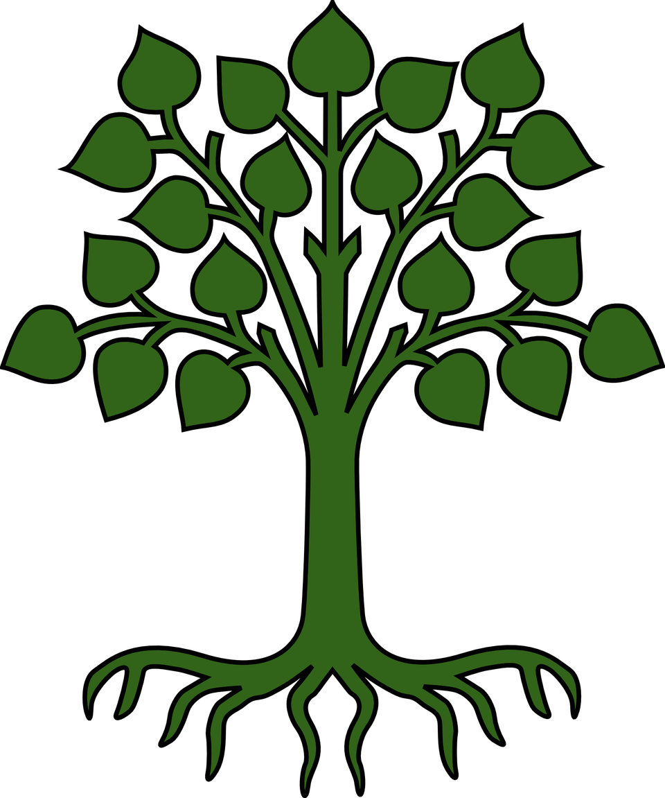 Tree g9f5cdf33f 1920
