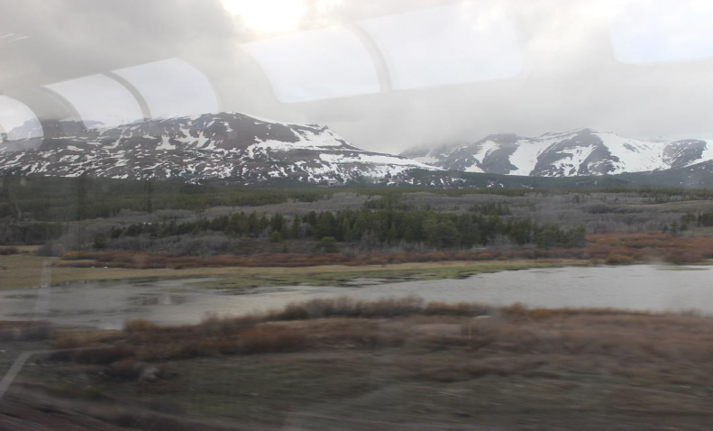 Train blog 6