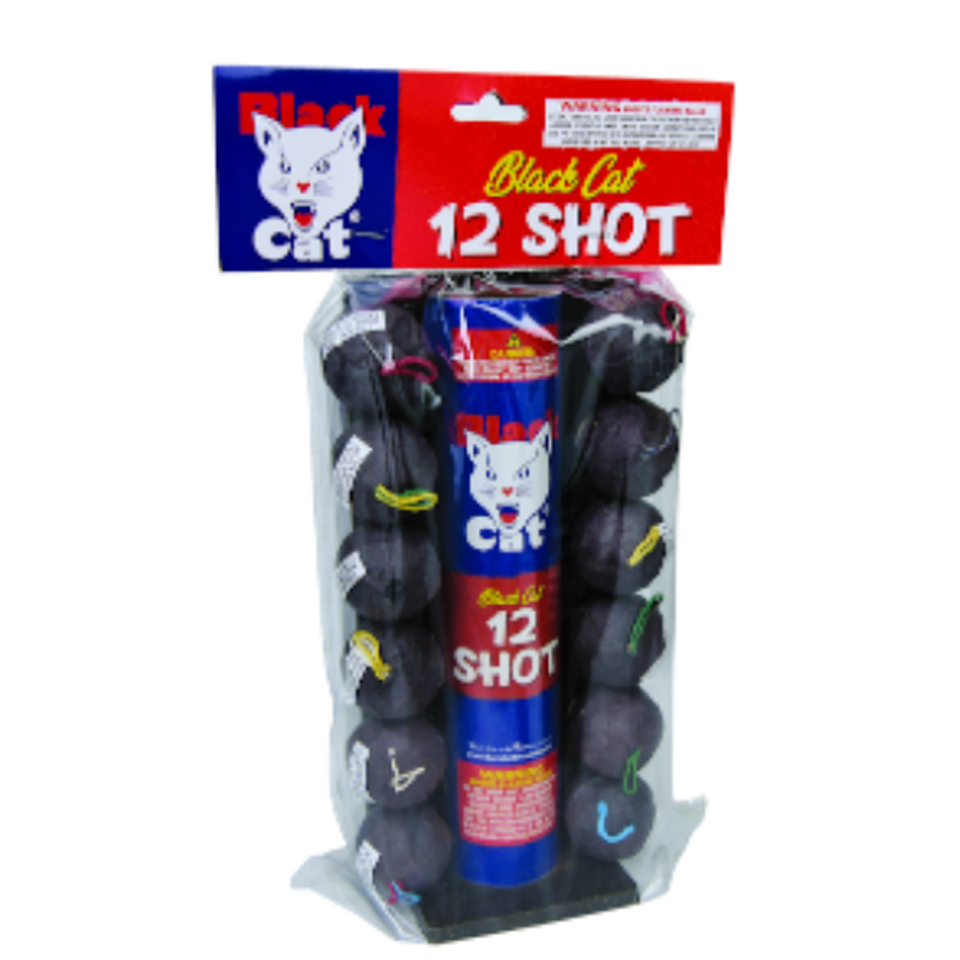 Bc12 shot bagged cv2