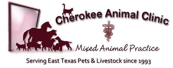 Cherokee animal clinic