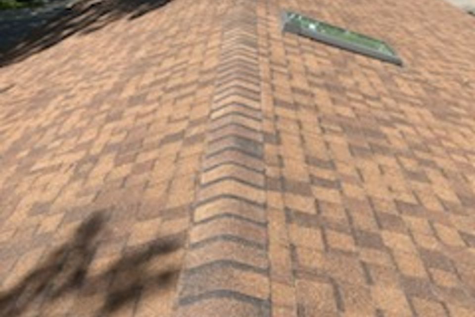 Img 20240729 131110