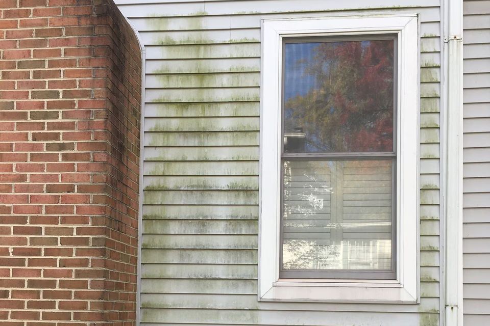 Mold