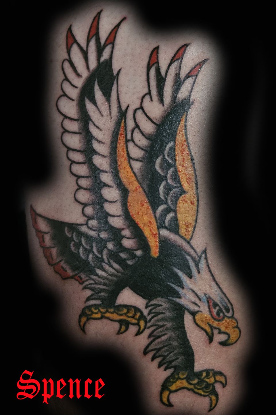 Spence eagle