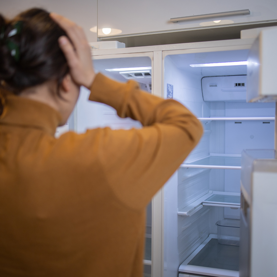 Refrigerator repair picture