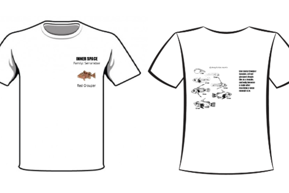 Screenshot 2025 10 27 091003