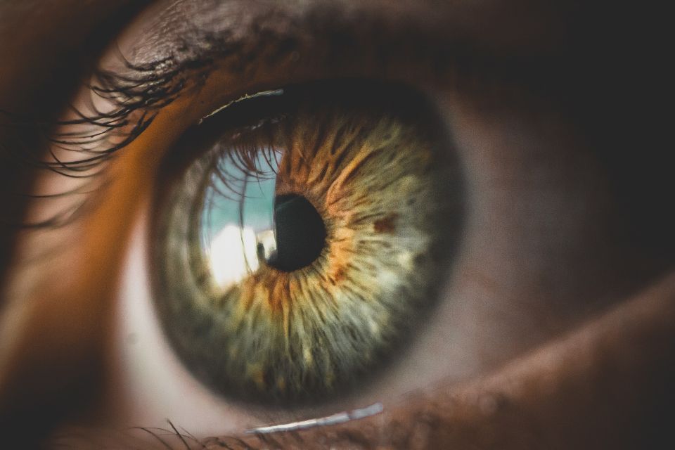 Retinal Photography