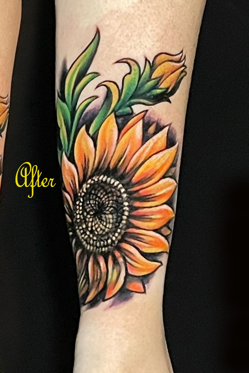 Adrian sunflower coverup after video copy