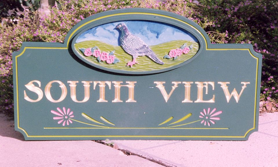 South view