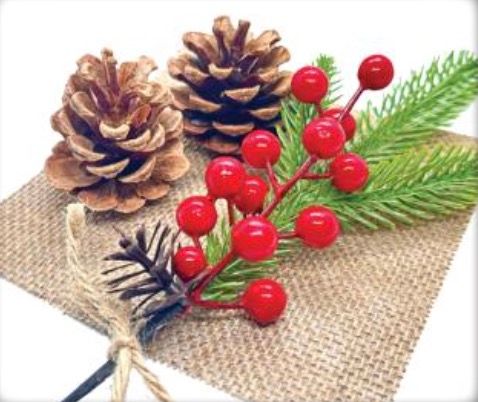 Screenshot 2025 11 21 at 1.41.58 pm