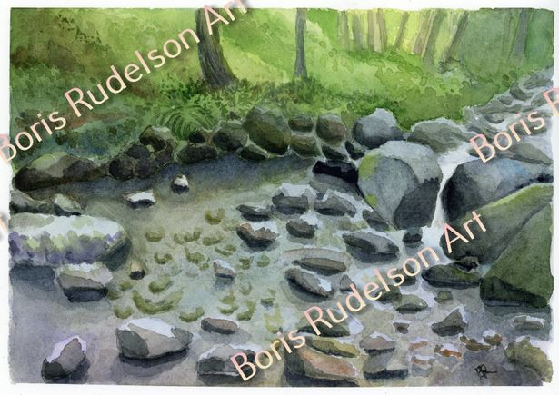 Forest Creek. Watercolor