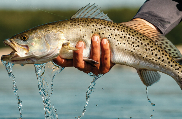 Screenshot 2026 02 24 at 10.30.03 am