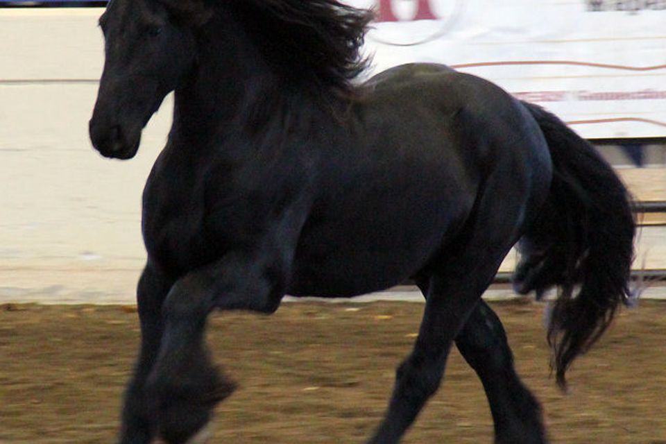 E8