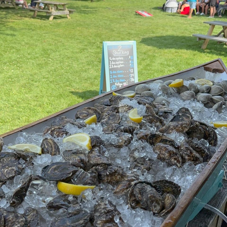 541936214 17869519149431943 1884533783546822831 n