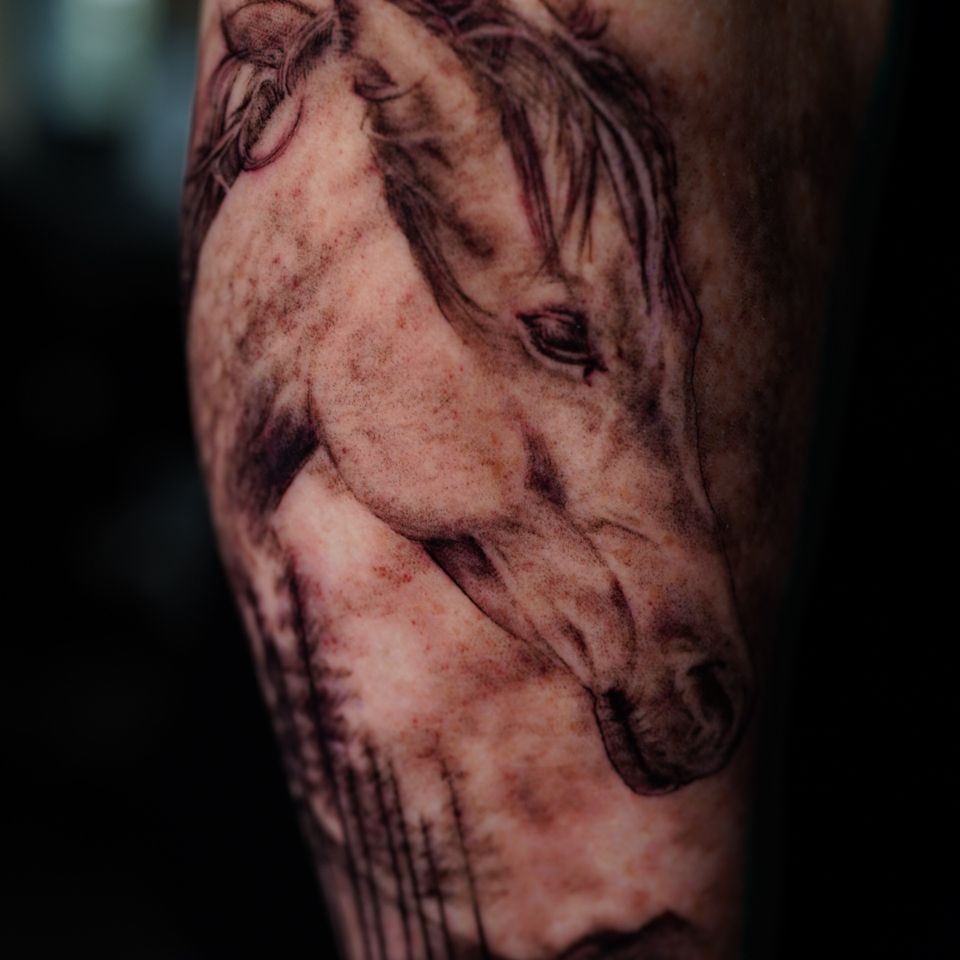 Image of a horse face tattoo in black and grey looking down over a mountanous forest