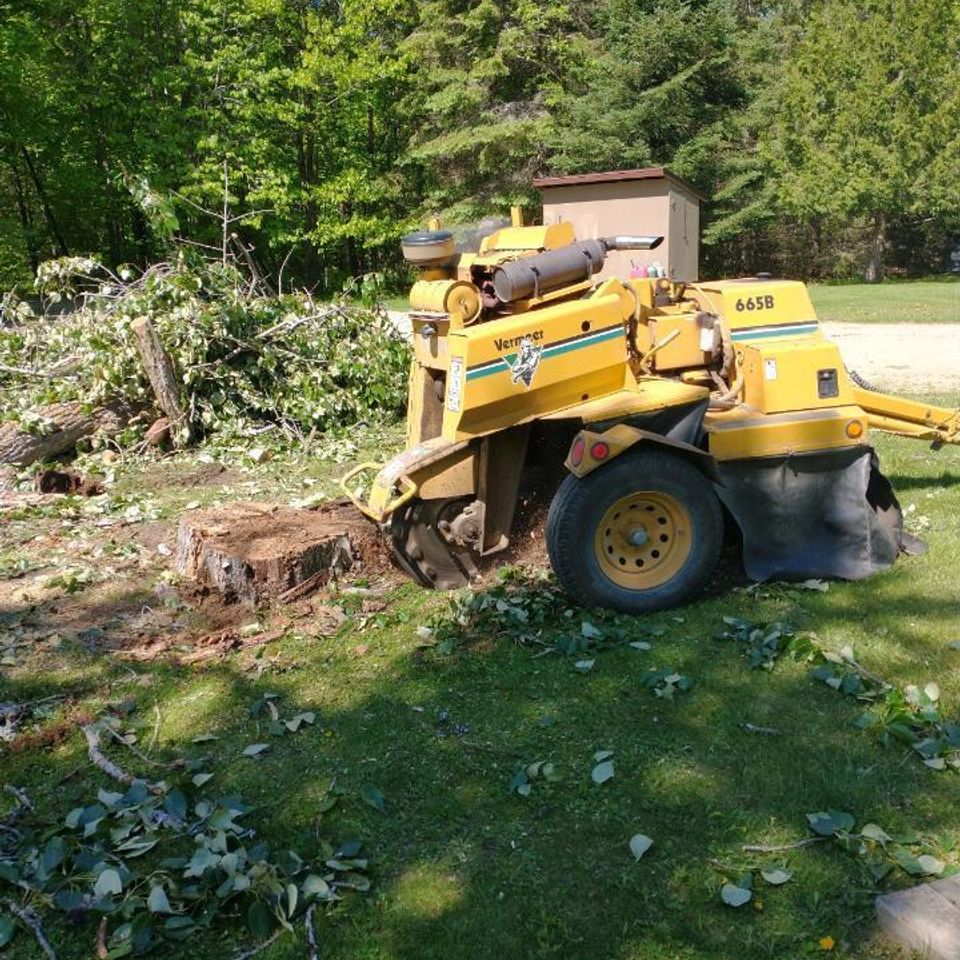 Stump grinding 2