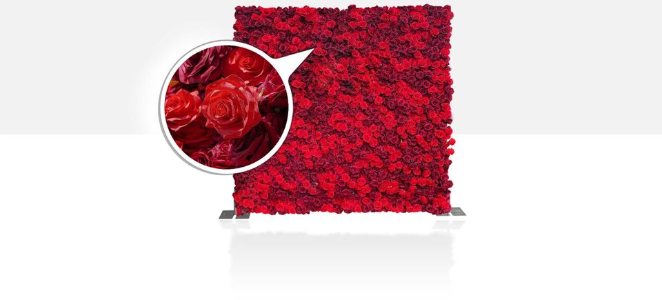 Rose wall 