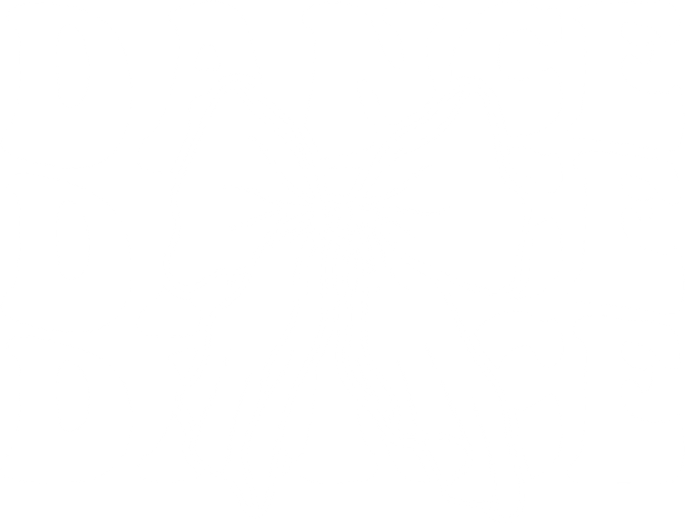 Dance   dance with bow white