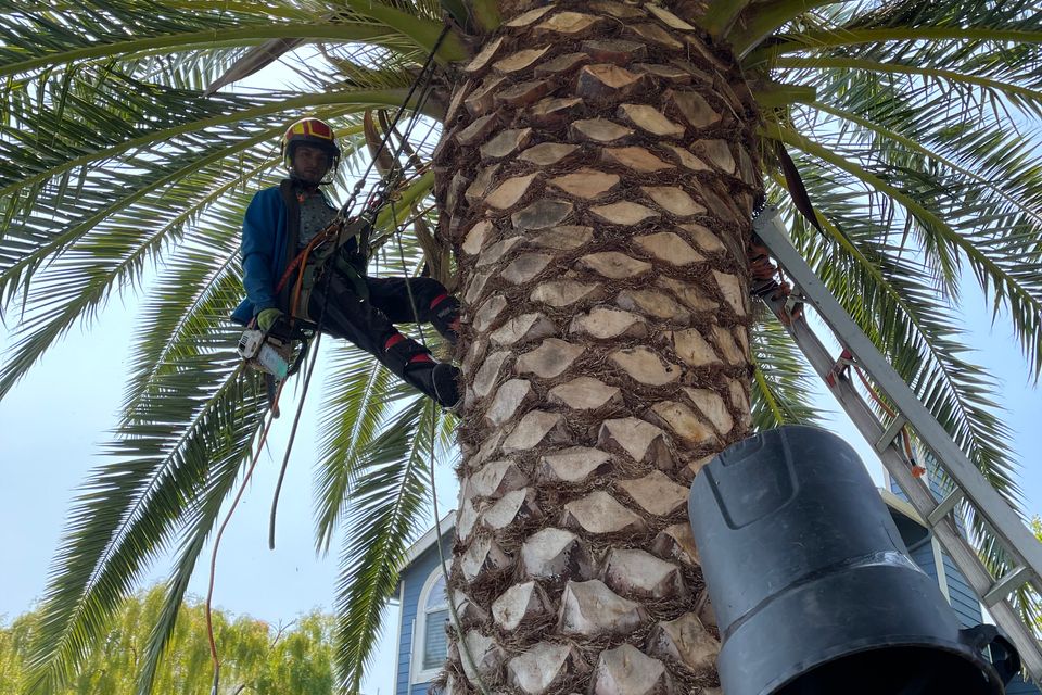 Img 3370