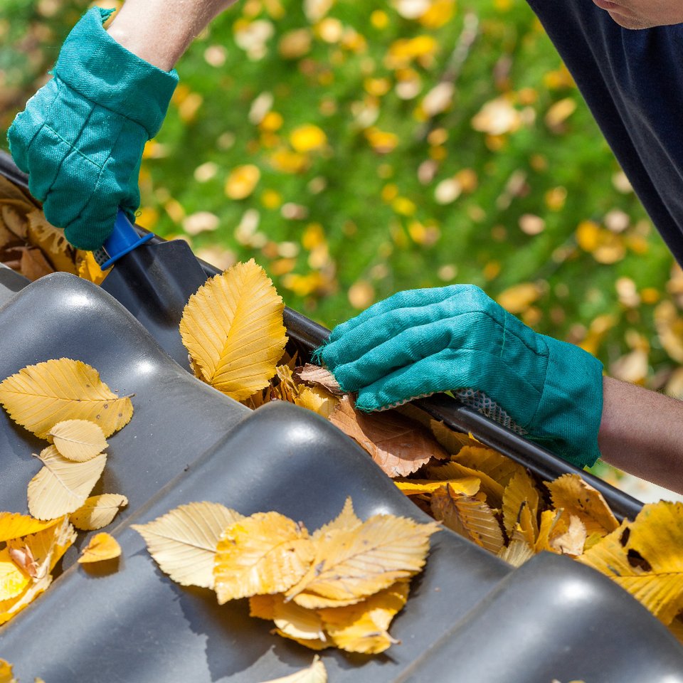 Gutter cleaning