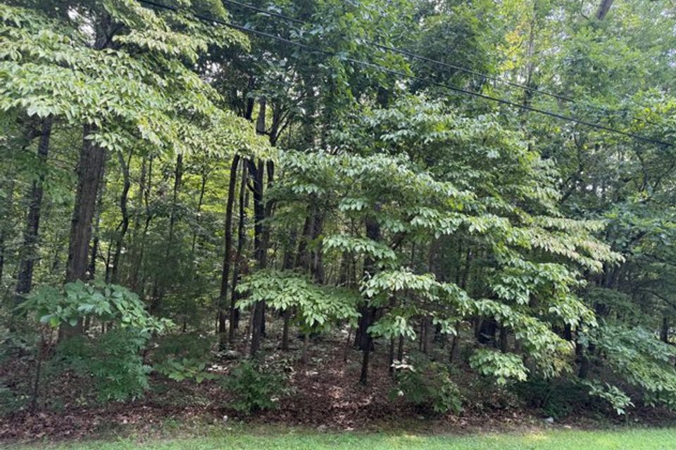 63 hilldale vacant lot