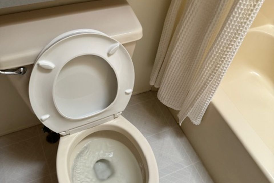 Img 0365