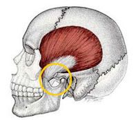 TMJ Diagnosis & Treatment in Boise Idaho