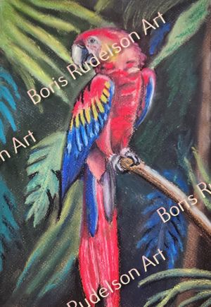 Pastel. Parrot 