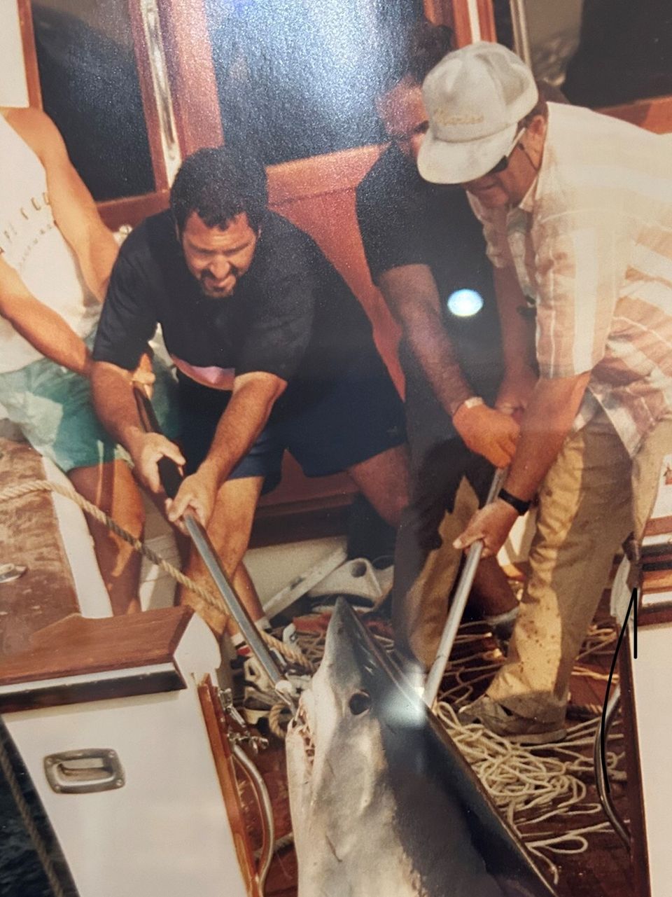 Men getting the shark out of ocean into polar  bear boat