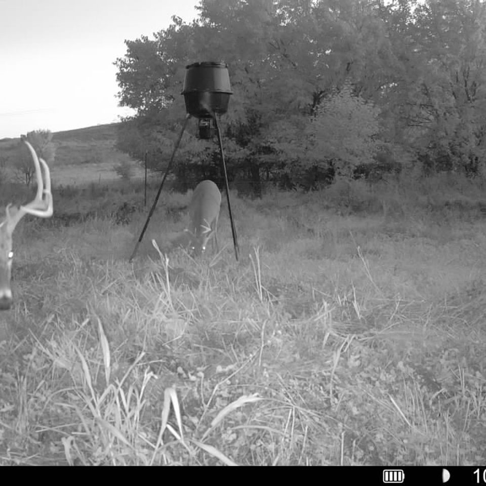 016579000933817 100 3 10142025190341 syfw00032