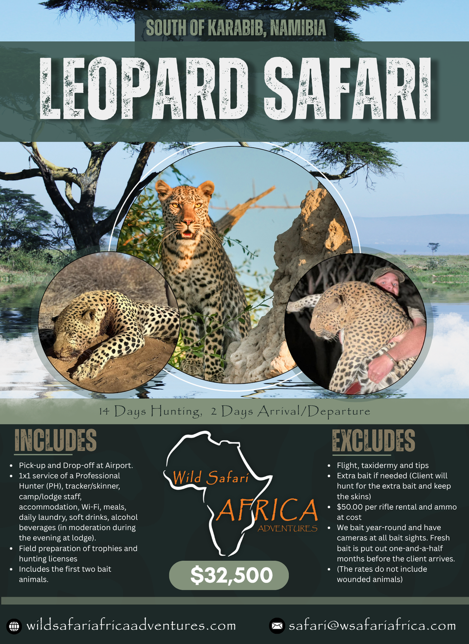 Leopard safari