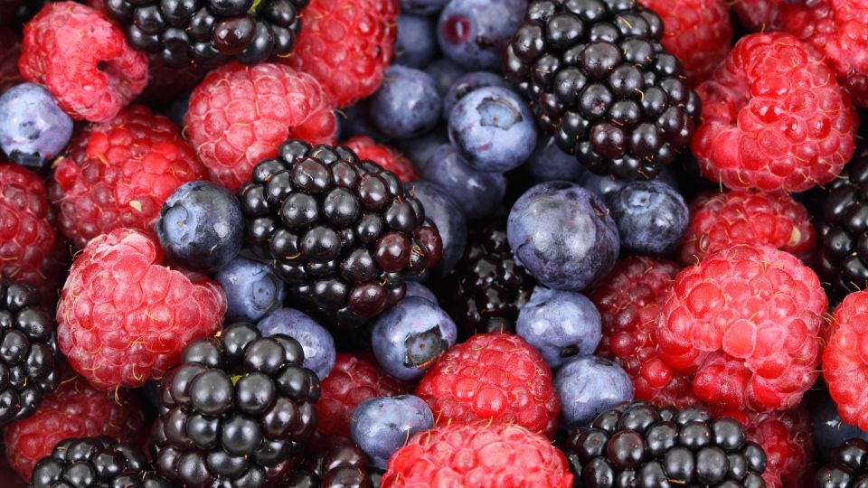Fresh, Local Fruits