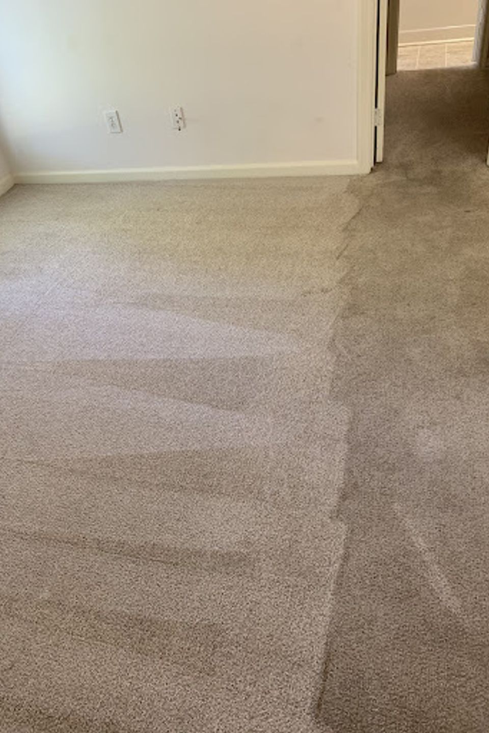 Carpet19