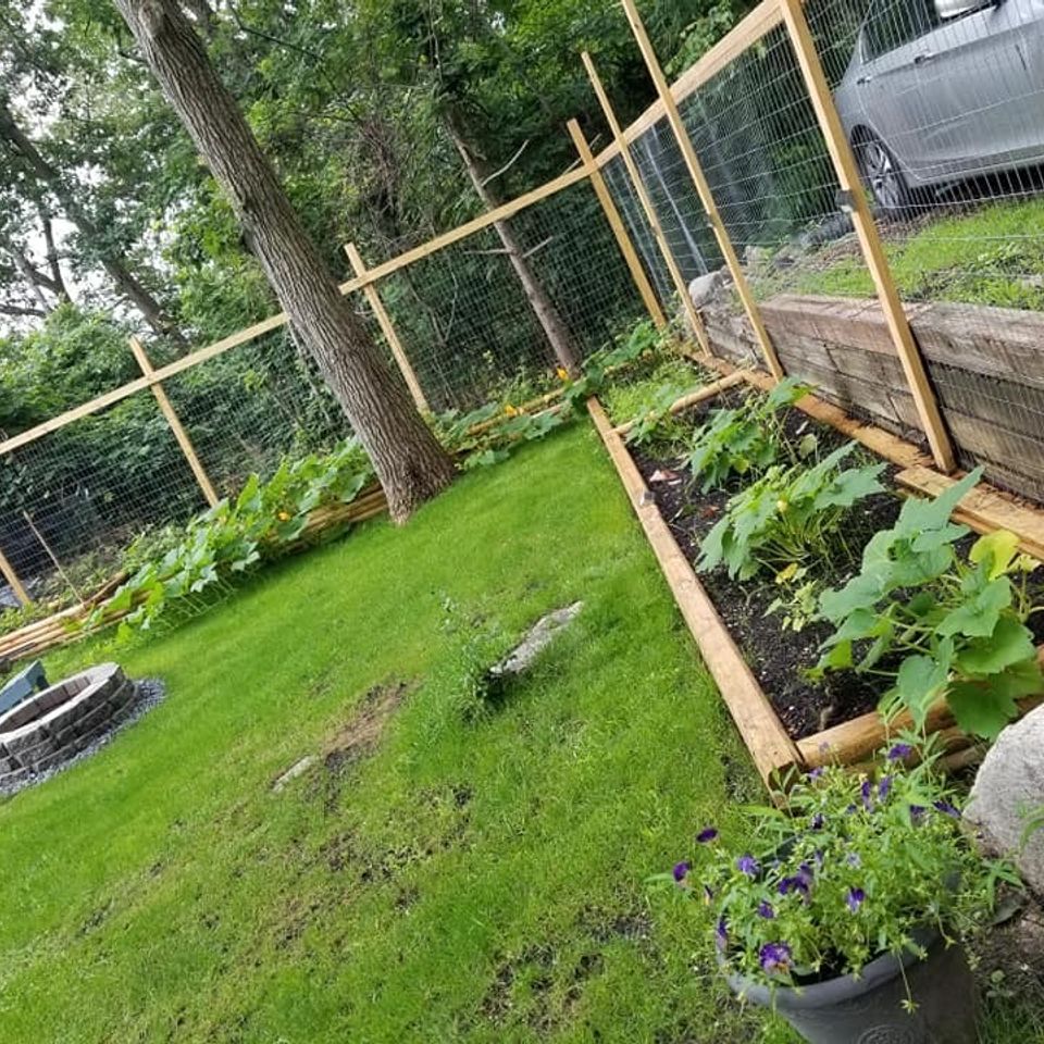 Garden beds