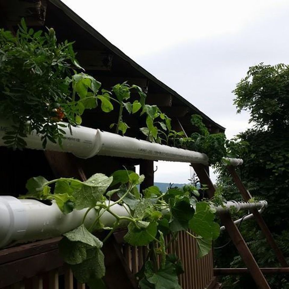 Nft porch