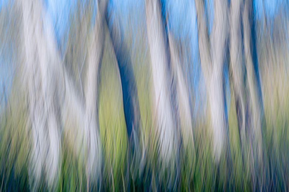 Saga spring equinox 3