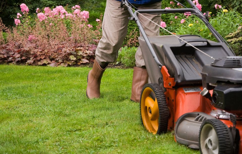Bigstock gardener mowing the lawn  18929231
