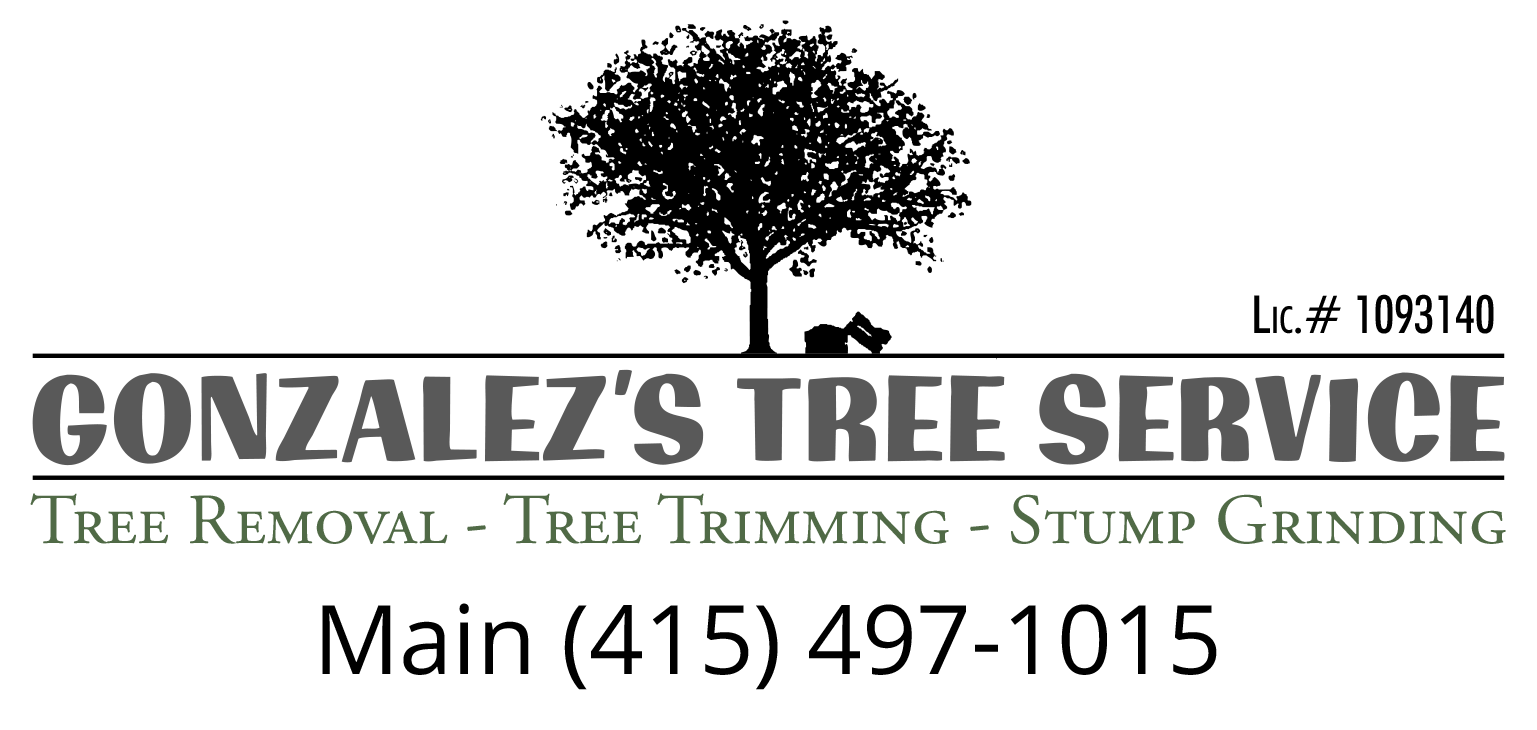 Gonzalez Tree Service