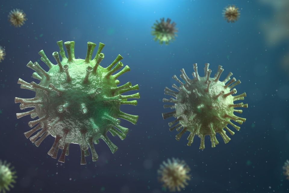 Corona gbd02a7233 1920