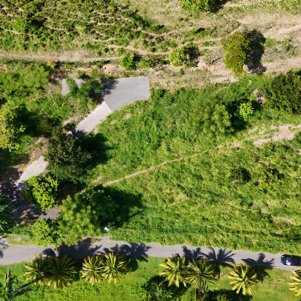 Dji 20260818095409 0308 d