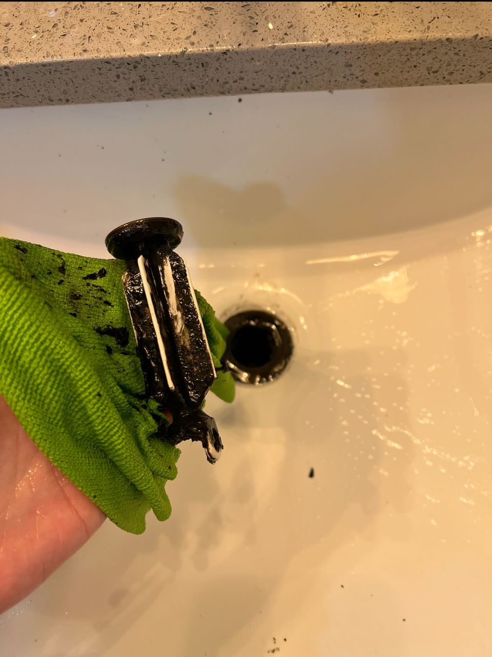 Img 1574