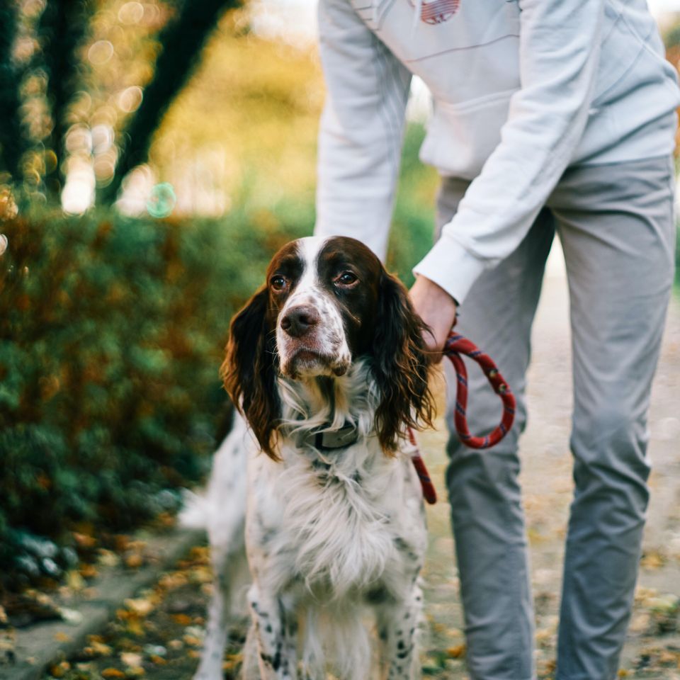 Eddie junior wsupqushy o unsplash