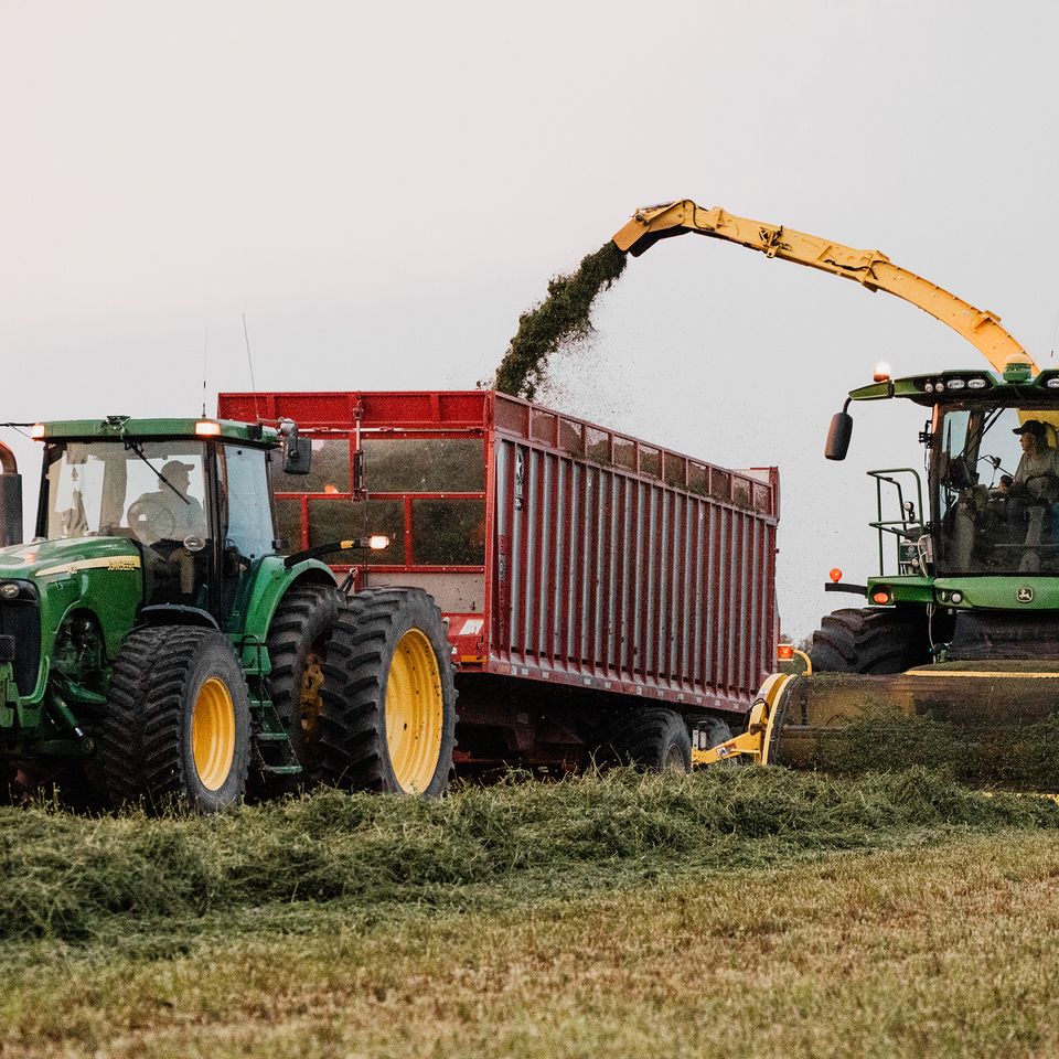 Haycrop august2024 71
