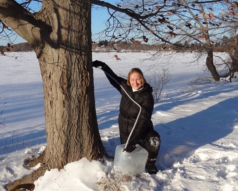 Janet tapping maple (3)